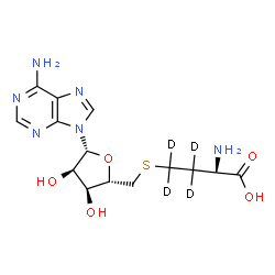 ChemSpider 2D Image | S-Adenosylhomocysteine-d4 | C14H16D4N6O5S