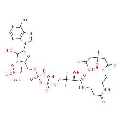 ChemSpider 2D Image | (9R)-1-[5-(6-Amino-9H-purin-9-yl)-4-hydroxy-3-(phosphonooxy)tetrahydro-2-furanyl]-3,5,9,21-tetrahydroxy-8,8,21-trimethyl-10,14,19-trioxo-2,4,6-trioxa-18-thia-11,15-diaza-3,5-diphosphatricosan-23-oic a
cid 3,5-dioxide | C27H44N7O20P3S