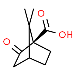 ChemSpider 2D Image | (1R)-(-)-Ketopinic acid | C10H14O3