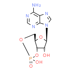 ChemSpider 2D Image | (4aR,6R)-6-(6-Amino-9H-purin-9-yl)tetrahydro-4H-furo[3,2-d][1,3,2]dioxaphosphinine-2,7-diol 2-oxide | C10H12N5O6P