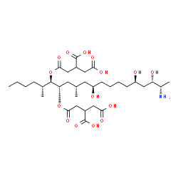 ChemSpider 2D Image | 2,2'-{[(5R,6R,7S,9S,11R,16R,18S,19S)-19-Amino-11,16,18-trihydroxy-5,9-dimethyl-6,7-icosanediyl]bis[oxy(2-oxo-2,1-ethanediyl)]}disuccinic acid | C34H59NO15