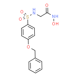 ChemSpider 2D Image | N~2~-{[4-(Benzyloxy)phenyl]sulfonyl}-N-hydroxyglycinamide | C15H16N2O5S