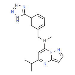 ChemSpider 2D Image | 5-Isopropyl-N-methyl-N-[3-(1H-tetrazol-5-yl)benzyl]pyrazolo[1,5-a]pyrimidin-7-amine | C18H20N8