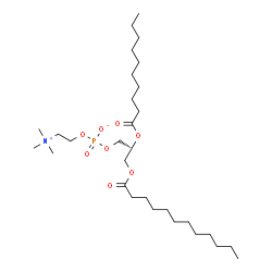 ChemSpider 2D Image | 1,2-Dilauroyl-sn-glycero-3-PC | C30H60NO8P