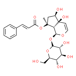 ChemSpider 2D Image | (1S,4aS,5R,7aS)-1-(alpha-D-Glucopyranosyloxy)-4a,5-dihydroxy-7-methyl-1,4a,5,6,7,7a-hexahydrocyclopenta[c]pyran-7-yl (2E)-3-phenylacrylate | C24H30O11
