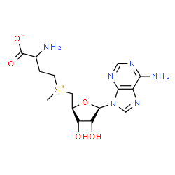 ChemSpider 2D Image | 2-Amino-4-[{[(2S,3S,4R,5R)-5-(6-amino-9H-purin-9-yl)-3,4-dihydroxytetrahydro-2-furanyl]methyl}(methyl)sulfonio]butanoate | C15H22N6O5S