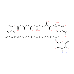 ChemSpider 2D Image | (1S,3R,4R,7R,9R,11R,15S,16R,17R,18S,19E,21E,25E,27E,29E,31E,33R,36R,37S)-33-[(3-Amino-3,6-dideoxy-beta-L-mannopyranosyl)oxy]-1,3,4,7,9,11,17,37-octahydroxy-15,16,18-trimethyl-13-oxo-14,39-dioxabicyclo
[33.3.1]nonatriaconta-19,21,25,27,29,31-hexaene-36-carboxylic acid | C47H75NO17
