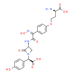 ChemSpider 2D Image | O-{4-[(1Z)-2-({(3R)-1-[(R)-Carboxy(4-hydroxyphenyl)methyl]-2-oxo-3-azetidinyl}amino)-N-hydroxy-2-oxoethanimidoyl]phenyl}-D-homoserine | C23H24N4O9
