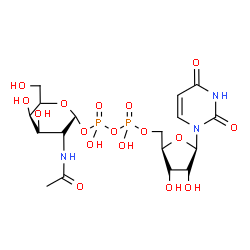 ChemSpider 2D Image | (2R,3R,4R,5R)-3-Acetamido-4,5-dihydroxy-6-(hydroxymethyl)tetrahydro-2H-pyran-2-yl [(2R,3S,4R,5R)-5-(2,4-dioxo-3,4-dihydro-1(2H)-pyrimidinyl)-3,4-dihydroxytetrahydro-2-furanyl]methyl dihydrogen diphosp
hate | C17H27N3O17P2