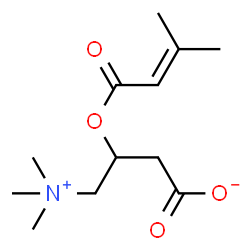 ChemSpider 2D Image | 3-[(3-Methyl-2-butenoyl)oxy]-4-(trimethylammonio)butanoate | C12H21NO4