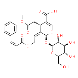 ChemSpider 2D Image | (2S,3Z,4S)-2-(beta-D-Glucopyranosyloxy)-4-(2-methoxy-2-oxoethyl)-3-(2-{[(2Z)-3-phenyl-2-propenoyl]oxy}ethylidene)-3,4-dihydro-2H-pyran-5-carboxylic acid | C26H30O13