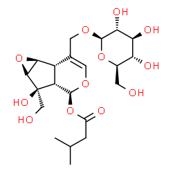 ChemSpider 2D Image | (1aS,1bS,5S,5aS,6S,6aR)-2-[(beta-D-Glucopyranosyloxy)methyl]-6-hydroxy-6-(hydroxymethyl)-1a,1b,5,5a,6,6a-hexahydrooxireno[3,4]cyclopenta[1,2-c]pyran-5-yl 3-methylbutanoate | C21H32O12