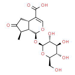 ChemSpider 2D Image | (1S,4aS,7R,7aS)-1-(Î²-D-Glucopyranosyloxy)-1,4a,5,6,7,7a-hexahydro-7-methyl-6-oxocyclopenta[c]pyran-4-carboxylic acid | C16H22O10