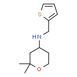 ChemSpider 2D Image | 2,2-Dimethyl-N-(2-thienylmethyl)tetrahydro-2H-pyran-4-amine | C12H19NOS