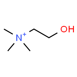 ChemSpider 2D Image | choline | C5H14NO