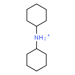ChemSpider 2D Image | dicyclohexylammonium | C12H24N