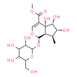 ChemSpider 2D Image | Methyl (1S,4aR,5R,6R,7S,7aR)-1-(hexopyranosyloxy)-4a,5,6-trihydroxy-7-methyl-1,4a,5,6,7,7a-hexahydrocyclopenta[c]pyran-4-carboxylate | C17H26O12