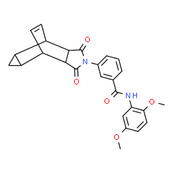 ChemSpider 2D Image | N-(2,5-Dimethoxyphenyl)-3-(3,5-dioxo-4-azatetracyclo[5.3.2.0~2,6~.0~8,10~]dodec-11-en-4-yl)benzamide | C26H24N2O5