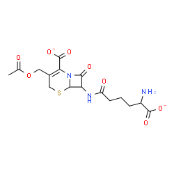 ChemSpider 2D Image | 3-(Acetoxymethyl)-7-[(5-amino-5-carboxylatopentanoyl)amino]-8-oxo-5-thia-1-azabicyclo[4.2.0]oct-2-ene-2-carboxylate | C16H19N3O8S