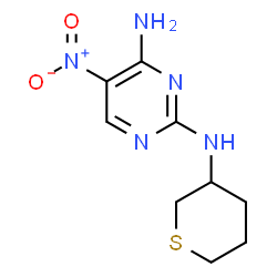 ChemSpider 2D Image | 5-Nitro-N~2~-(tetrahydro-2H-thiopyran-3-yl)-2,4-pyrimidinediamine | C9H13N5O2S