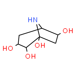 ChemSpider 2D Image | 8-Azabicyclo[3.2.1]octane-1,2,3,6-tetrol | C7H13NO4