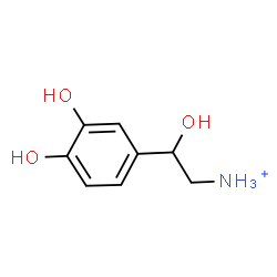 ChemSpider 2D Image | 2-(3,4-Dihydroxyphenyl)-2-hydroxyethanaminium | C8H12NO3