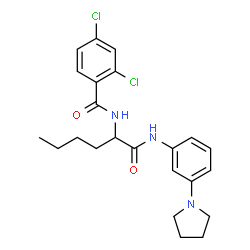 ChemSpider 2D Image | N~2~-(2,4-Dichlorobenzoyl)-N-[3-(1-pyrrolidinyl)phenyl]norleucinamide | C23H27Cl2N3O2