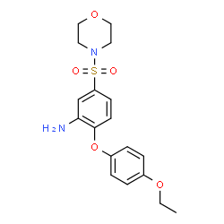 ChemSpider 2D Image | 2-(4-Ethoxyphenoxy)-5-(4-morpholinylsulfonyl)aniline | C18H22N2O5S