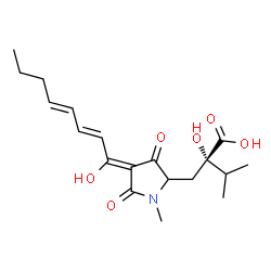 ChemSpider 2D Image | (2S)-2-Hydroxy-2-({(4Z)-4-[(2E,4E)-1-hydroxy-2,4-octadien-1-ylidene]-1-methyl-3,5-dioxo-2-pyrrolidinyl}methyl)-3-methylbutanoic acid | C19H27NO6