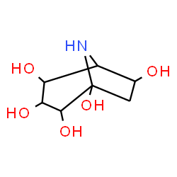 ChemSpider 2D Image | 8-Azabicyclo[3.2.1]octane-1,2,3,4,6-pentol | C7H13NO5
