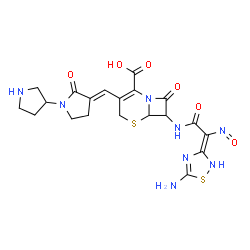 ChemSpider 2D Image | 7-{[(2Z)-2-(5-Amino-1,2,4-thiadiazol-3(2H)-ylidene)-2-nitrosoacetyl]amino}-8-oxo-3-[(E)-(2-oxo-1,3'-bipyrrolidin-3-ylidene)methyl]-5-thia-1-azabicyclo[4.2.0]oct-2-ene-2-carboxylic acid | C20H22N8O6S2