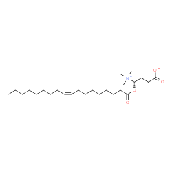 ChemSpider 2D Image | (4S)-4-[(9Z)-9-Octadecenoyloxy]-4-(trimethylammonio)butanoate | C25H47NO4