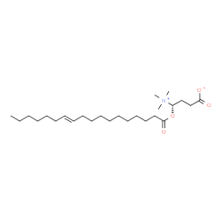 ChemSpider 2D Image | (4S)-4-[(11E)-11-Octadecenoyloxy]-4-(trimethylammonio)butanoate | C25H47NO4