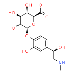 ChemSpider 2D Image | 2-Hydroxy-4-[(1R)-1-hydroxy-2-(methylamino)ethyl]phenyl Î²-D-glucopyranosiduronic acid | C15H21NO9