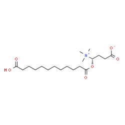 ChemSpider 2D Image | (4S)-4-[(11-Carboxyundecanoyl)oxy]-4-(trimethylammonio)butanoate | C19H35NO6