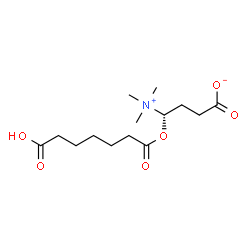 ChemSpider 2D Image | (4S)-4-[(6-Carboxyhexanoyl)oxy]-4-(trimethylammonio)butanoate | C14H25NO6