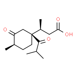 ChemSpider 2D Image | (3S)-3-[(1S,4R)-1-Isobutyryl-4-methyl-3-oxocyclohexyl]butanoic acid | C15H24O4