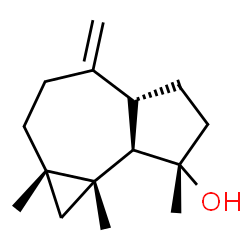 ChemSpider 2D Image | (1aS,4aR,7S,7aR,7bS)-1a,7,7b-Trimethyl-4-methylenedecahydro-1H-cyclopropa[e]azulen-7-ol | C15H24O
