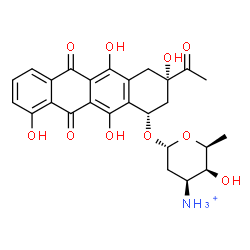 ChemSpider 2D Image | (1S,3S)-3-Acetyl-3,5,10,12-tetrahydroxy-6,11-dioxo-1,2,3,4,6,11-hexahydro-1-tetracenyl 3-ammonio-2,3,6-trideoxy-alpha-L-lyxo-hexopyranoside | C26H28NO10