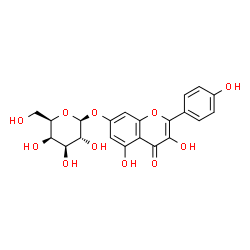 ChemSpider 2D Image | kaempferol 7-O-beta-D-galactopyranoside | C21H20O11
