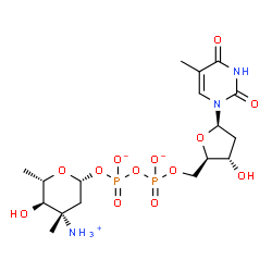 ChemSpider 2D Image | [(2R,4S,5R,6S)-4-azaniumyl-5-hydroxy-4,6-dimethyl-tetrahydropyran-2-yl] [[(2R,3S,5R)-3-hydroxy-5-(5-methyl-2,4-dioxo-pyrimidin-1-yl)tetrahydrofuran-2-yl]methoxy-oxido-phosphoryl] phosphate | C17H28N3O13P2