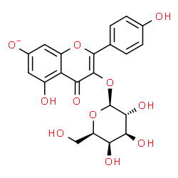 ChemSpider 2D Image | 3-(beta-D-Galactopyranosyloxy)-5-hydroxy-2-(4-hydroxyphenyl)-4-oxo-4H-chromen-7-olate | C21H19O11