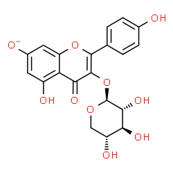 ChemSpider 2D Image | 5-Hydroxy-2-(4-hydroxyphenyl)-4-oxo-3-(beta-D-xylopyranosyloxy)-4H-chromen-7-olate | C20H17O10