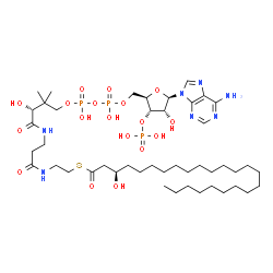 ChemSpider 2D Image | (R)-3-hydroxylignoceroyl-CoA | C45H82N7O18P3S