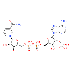 ChemSpider 2D Image | [[(2R,3R,4R,5R)-5-(6-aminopurin-9-yl)-3-hydroxy-4-phosphonooxy-tetrahydrofuran-2-yl]methoxy-hydroxy-phosphoryl] [(2R,3S,4R,5S)-5-(3-carbamoylpyridin-1-ium-1-yl)-3,4-dihydroxy-tetrahydrofuran-2-yl]methyl hydrogen phosphate | C21H29N7O17P3