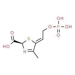ChemSpider 2D Image | (2R,5Z)-4-Methyl-5-[2-(phosphonooxy)ethylidene]-2,5-dihydro-1,3-thiazole-2-carboxylic acid | C7H10NO6PS