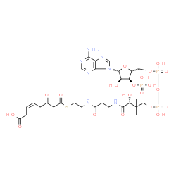 ChemSpider 2D Image | (9R,23Z)-1-[(2R,3S,4R,5R)-5-(6-Amino-9H-purin-9-yl)-4-hydroxy-3-(phosphonooxy)tetrahydro-2-furanyl]-3,5,9-trihydroxy-8,8-dimethyl-10,14,19,21-tetraoxo-2,4,6-trioxa-18-thia-11,15-diaza-3,5-diphosphahex
acos-23-en-26-oic acid 3,5-dioxide | C29H44N7O20P3S