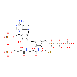 ChemSpider 2D Image | Adenosine, 5'-O-[hydroxy[[hydroxy[3-hydroxy-4-[[3-[(2-mercaptoethyl)amino]-3-oxopropyl]amino]-2,2-dimethyl-4-oxobutoxy]phosphinyl]oxy]phosphinyl]-2'-O-[5-O-[hydroxy[[hydroxy(phosphonooxy)phosphinyl]ox
y]phosphinyl]-alpha-D-ribofuranosyl]- | C26H46N7O26P5S