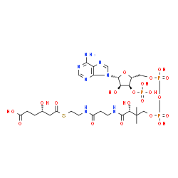 ChemSpider 2D Image | (9R,21S)-1-[(2R,3S,4R,5R)-5-(6-Amino-9H-purin-9-yl)-4-hydroxy-3-(phosphonooxy)tetrahydro-2-furanyl]-3,5,9,21-tetrahydroxy-8,8-dimethyl-10,14,19-trioxo-2,4,6-trioxa-18-thia-11,15-diaza-3,5-diphosphatet
racosan-24-oic acid 3,5-dioxide | C27H44N7O20P3S