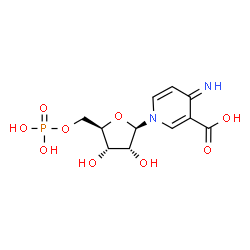 ChemSpider 2D Image | Clitidine 5'-phosphate | C11H15N2O9P